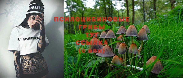 мескалин Майский
